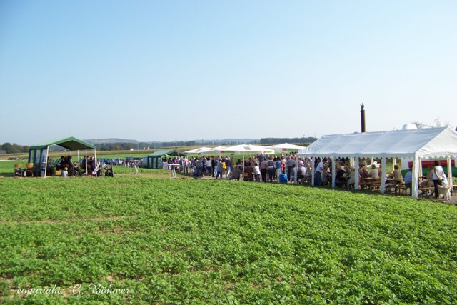 Kunstwerk 2011-0157.JPG